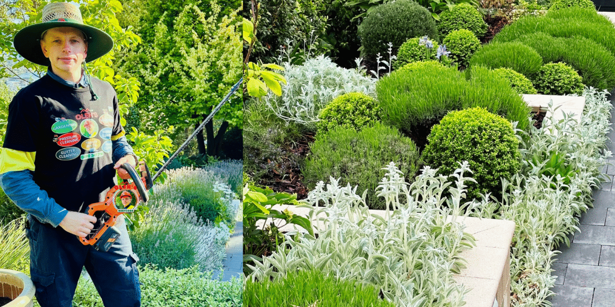 Garden Services, Maintenance_Lawn Mowing in Hobart Australia. Business Name: Oleh’s Home Services Location: Hobart, Tasmania, Australia Service Type: Gardening & Outdoor Maintenance At Oleh’s Home Services, we specialize in reliable and affordable gardening services across Hobart and surrounding suburbs. Whether your garden needs a seasonal refresh, regular upkeep, or a complete makeover, we bring a keen eye for detail and a passion for outdoor spaces.