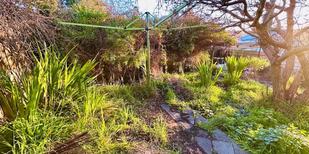 How to Effectively Fight Weeds in HobartTips from Oleh Service Group