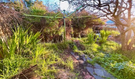 How to Effectively Fight Weeds in HobartTips from Oleh Service Group