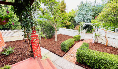 Why Mulching Is a Smart Move — and What You Should Do