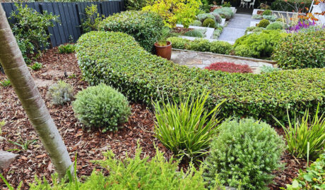 🌿 Why Mulching Is a Smart Move — and What You Should Do If you're thinking about ways to improve your garden this season, mulching is one of the most effective and underrated things you can do. Too often, we see homeowners trying to save money by skipping mulching or doing a quick DIY job. But here’s the truth: not mulching properly almost always leads to more work, more weeds, more water use — and higher costs in the long run. Let’s break it down with three simple reasons why you shouldn’t skip mulching this year: