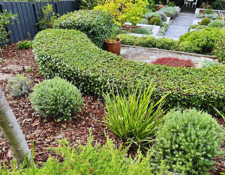 🌿 Why Mulching Is a Smart Move — and What You Should Do If you're thinking about ways to improve your garden this season, mulching is one of the most effective and underrated things you can do. Too often, we see homeowners trying to save money by skipping mulching or doing a quick DIY job. But here’s the truth: not mulching properly almost always leads to more work, more weeds, more water use — and higher costs in the long run. Let’s break it down with three simple reasons why you shouldn’t skip mulching this year: