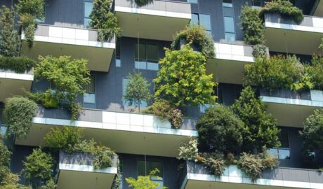 🧼 Welcome to Oleh’s Services – Professional Cleaning in Hobart, TAS 🧼 Need reliable, affordable cleaning in Hobart? You’ve come to the right place. At Oleh’s Services, we deliver expert cleaning solutions for homes, businesses, and specialised spaces — all backed by fully insured, police-checked contractors and a commitment to sparkling results. 🧹 Regular Cleaning From Just $45/hr Say goodbye to everyday mess with our ongoing weekly or fortnightly cleaning service. Starting at only $45 per hour for a 3-hour session, our Regular Clean keeps your home or office fresh, clean, and stress-free. Custom cleaning plans ensure your needs are met every time. 🏠 Residential & Airbnb Cleaning Whether it’s your home or an Airbnb property, we treat every living space with care. Our team ensures living rooms, kitchens, bathrooms, and bedrooms are spotless and guest-ready. 🏢 Commercial & Office Cleaning From busy offices to large-scale commercial properties, we provide reliable cleaning that supports productivity. We handle desks, communal areas, meeting rooms, and more — with attention to detail you can trust. 💪 Gym Cleaning in Hobart Gyms demand high hygiene standards — and we deliver. We clean equipment, floors, bathrooms, and locker rooms to keep your space safe and fresh for members and staff. 🍻 Pubs & Restaurants In the food and hospitality industry, cleanliness is critical. Oleh’s Services ensures your dining and kitchen areas, bars, and public spaces are maintained to impeccable standards. 🏭 Factories & Industrial Spaces From warehouses to workshops, we clean tough environments with the right tools and training. Dust, debris, and grime don't stand a chance. 🏫 Schools & Childcare Centres Protect your students and staff with our safe and hygienic school cleaning services. We use eco-friendly products and work around your schedule to avoid disruption. 👵 Aged Care Facility Cleaning We understand the sensitivity and care needed in aged care. Our team follows best-practice cleaning standards to ensure a healthy and respectful environment for residents. 📍 Serving Hobart and Surrounds Based in Hobart, Tasmania, we proudly support our local community with quality cleaning services backed by honesty, care, and professionalism. 📞 Book Your Clean Today Call us or book online to experience why so many in Hobart trust Oleh’s Services. Let’s take care of the mess — so you don’t have to. — Keywords integrated: Oleh’s Services Cleaning services in Hobart Regular clean Hobart Gym cleaning Hobart Airbnb cleaning Hobart Office cleaning Hobart Commercial cleaning Hobart Pub and restaurant cleaning Hobart Factory cleaning Hobart Aged care cleaning Hobart School cleaning Hobart