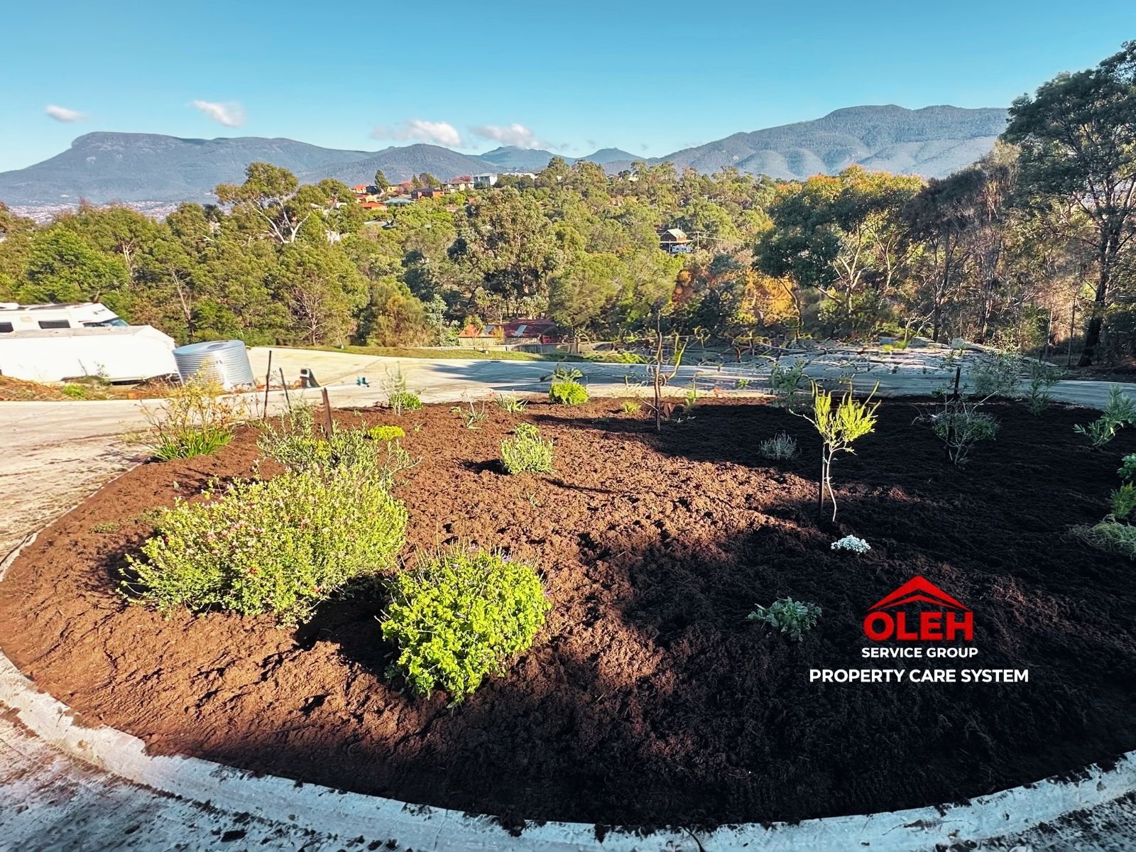 Failed mulch setup with returning weeds before landscape correction in Hobart