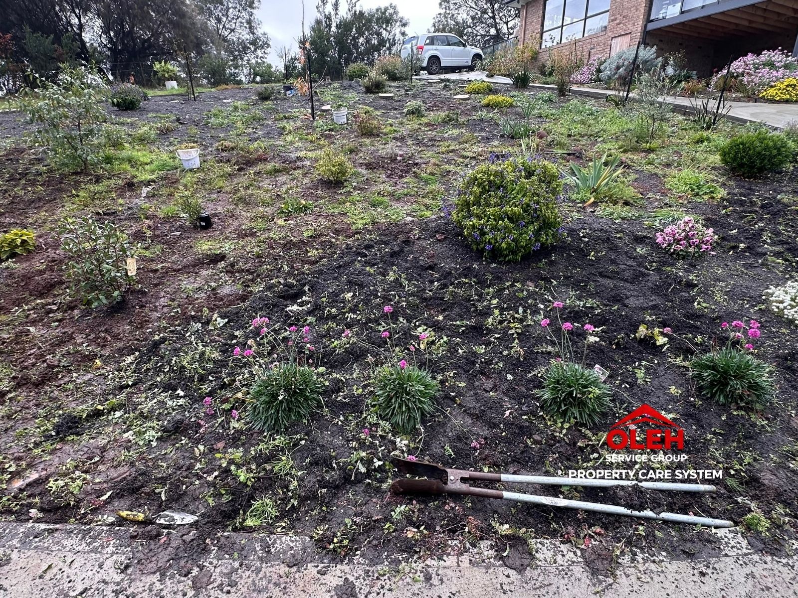Finished garden after landscape improvement and mulching in Hobart
