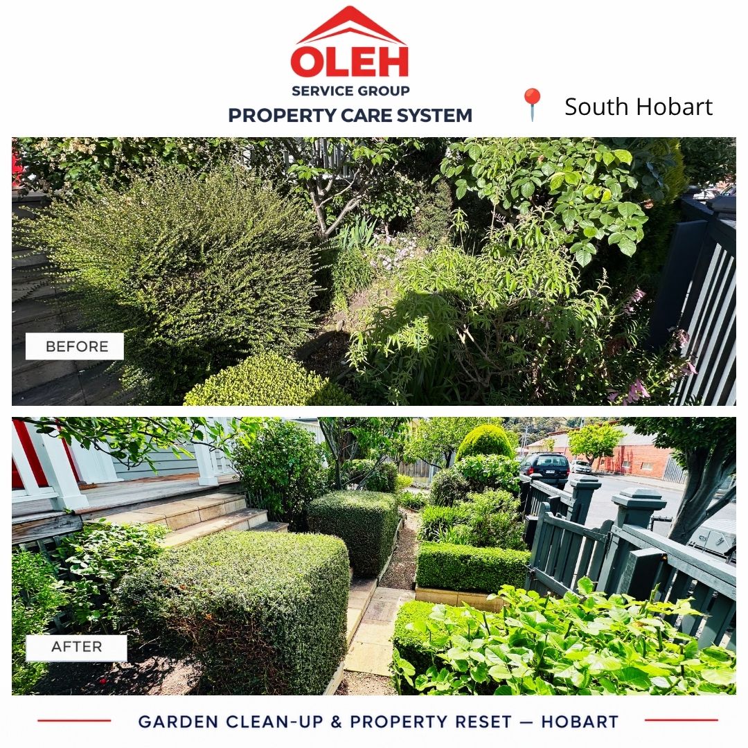 Before and after garden clean-up and property reset in South Hobart Tasmania