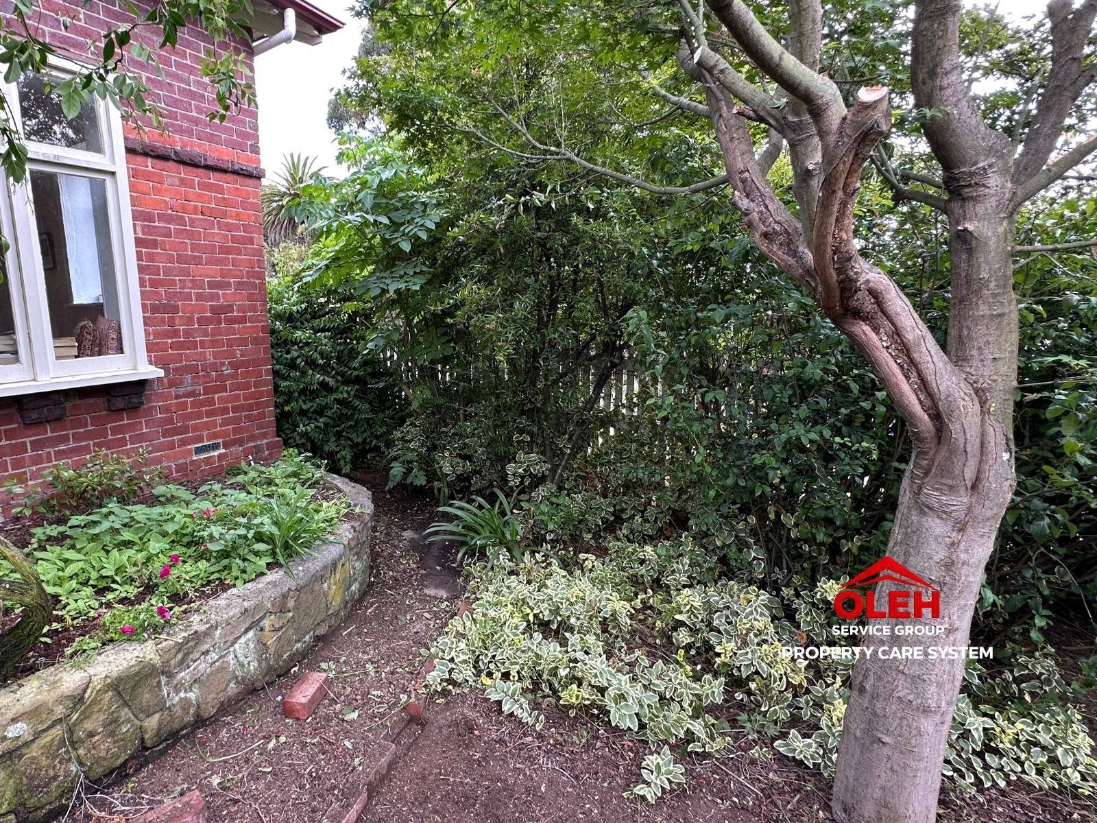Garden bed before landscape improvement and mulching in Hobart