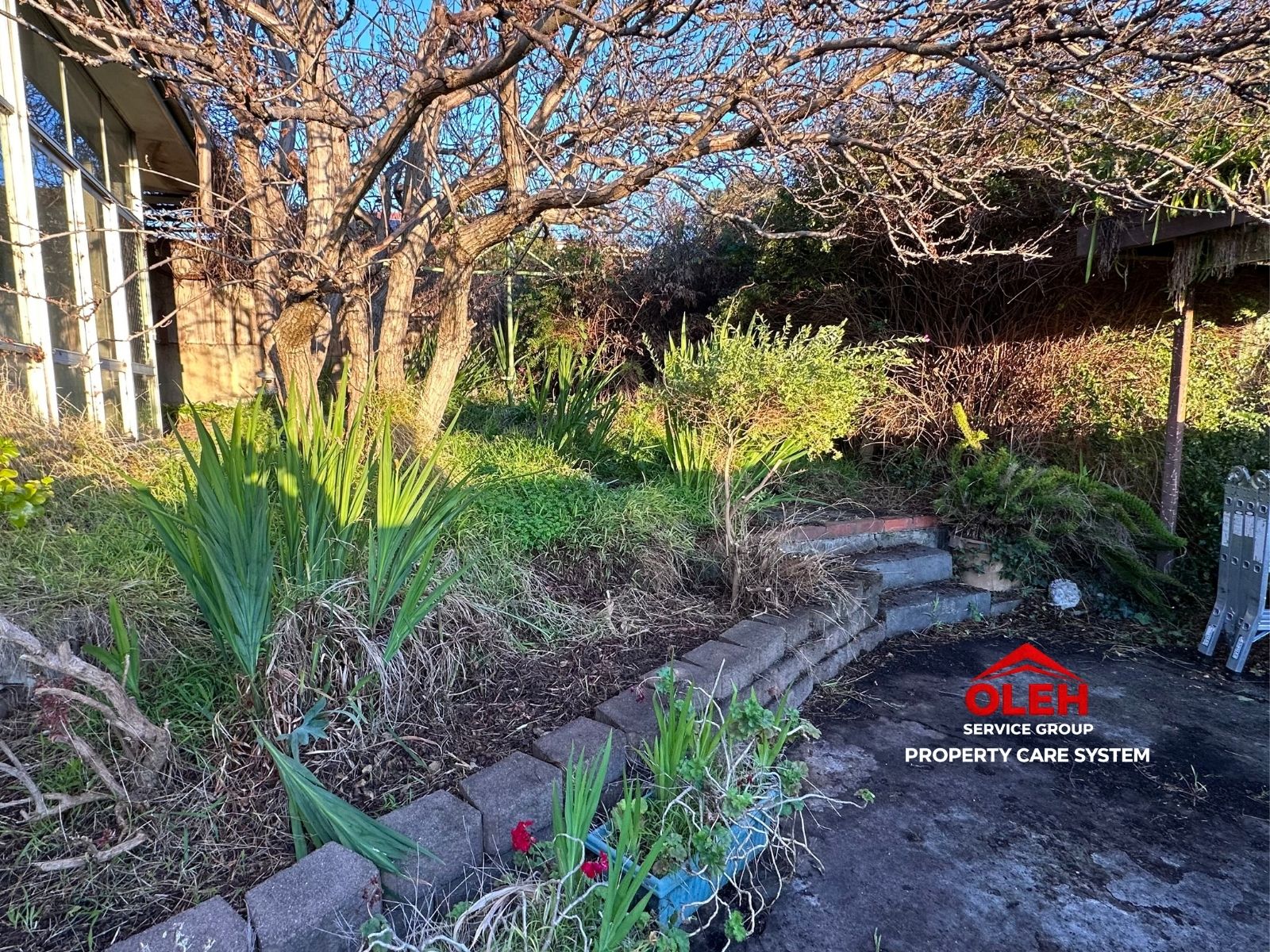 Residential garden requiring a one-off property reset and garden clean-up