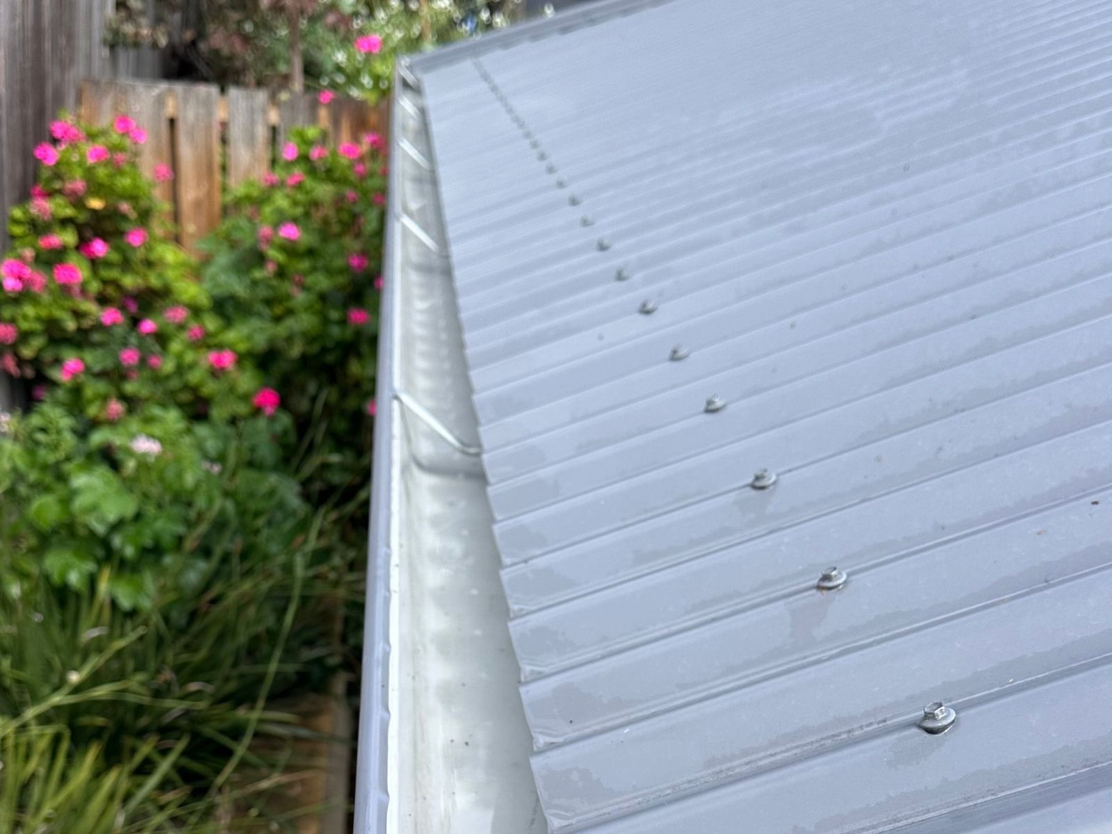 Clean gutter after 3-Stage gutter cleaning in Hobart by Oleh Gutter System
