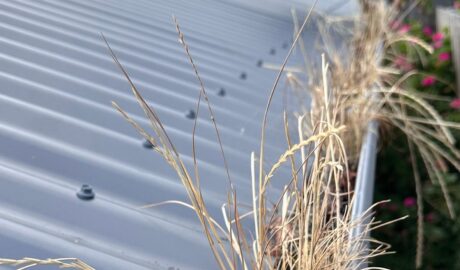 Blocked gutter before 3-Stage gutter cleaning in Hobart by Oleh Gutter System