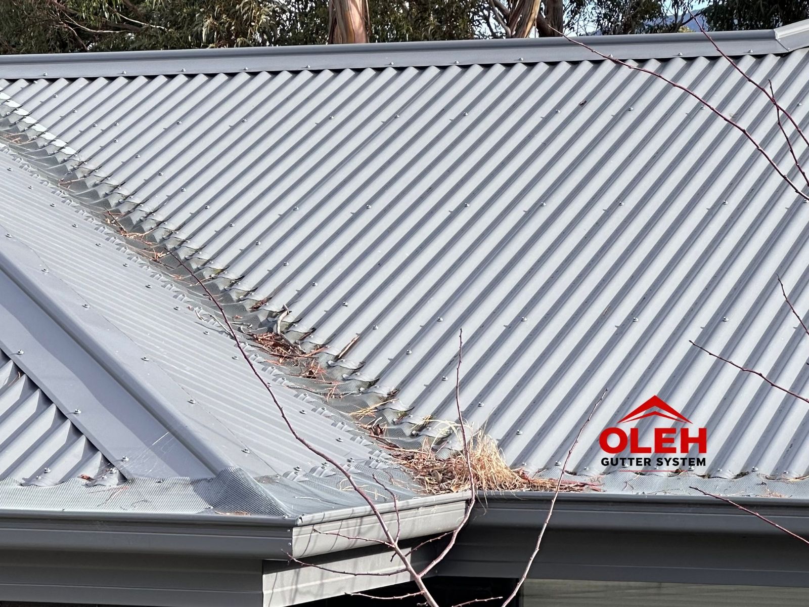 Gutter debris affecting water flow on a Hobart property