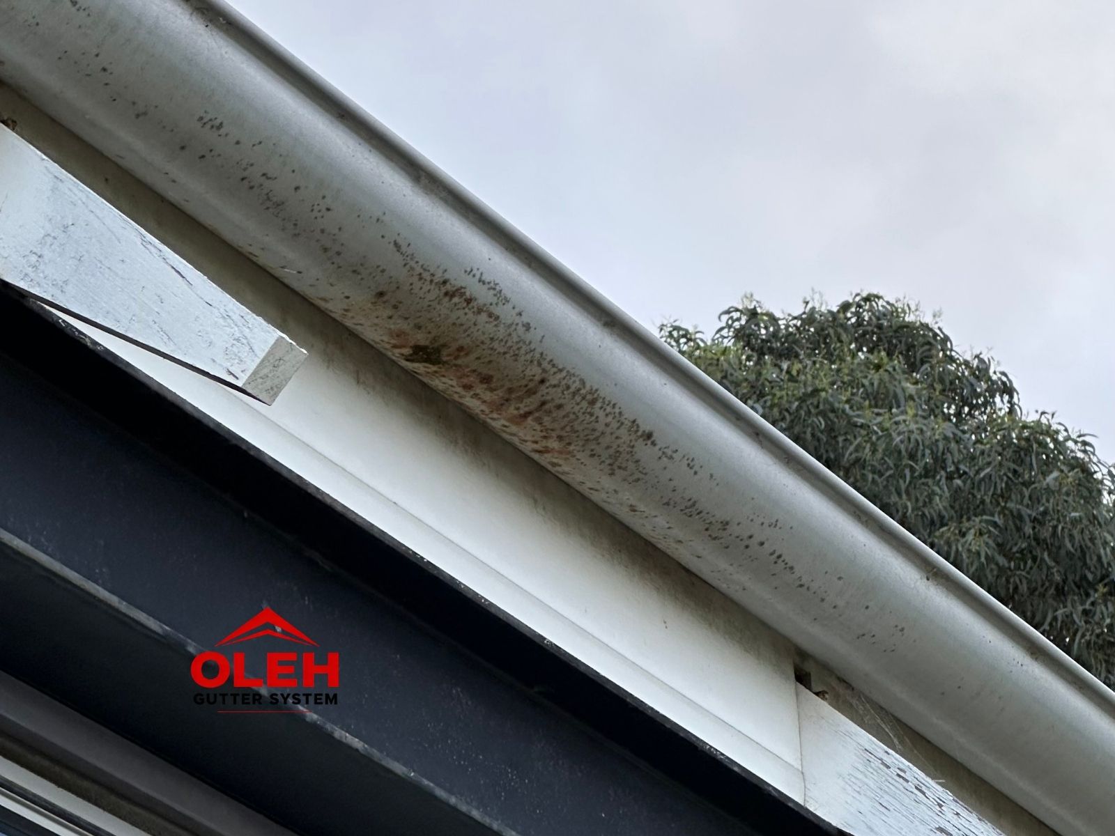 Hidden fine build-up inside a roof gutter in Hobart