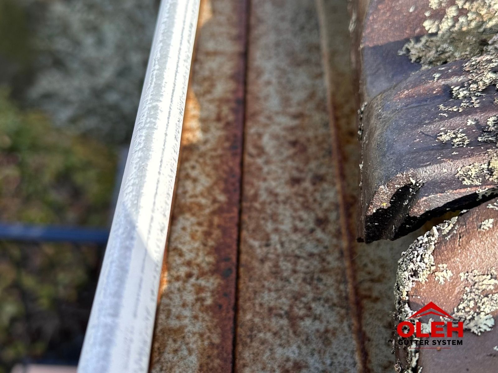 Internal gutter corrosion inspection in Hobart before gutter restoration
