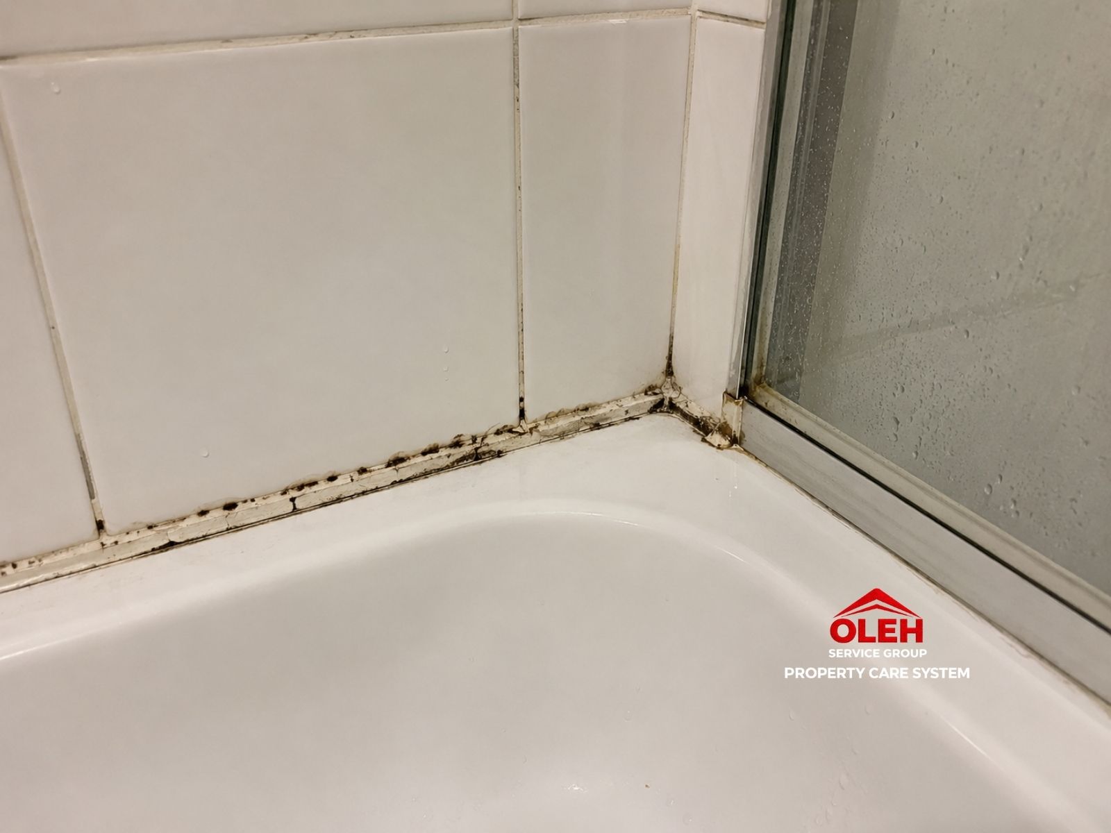 Mouldy bathroom silicone before replacement in Hobart