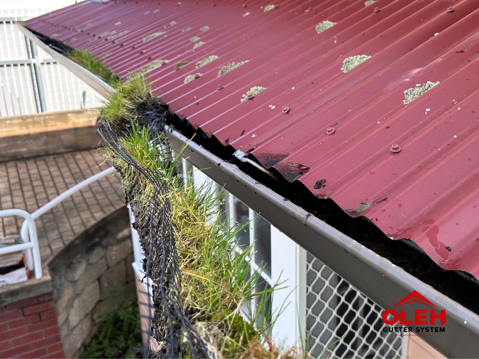 Neglected gutter filled with vegetation before cleaning and gutter restoration in Hobart