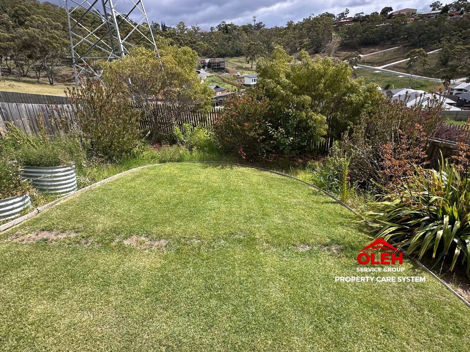 Overgrown garden bed before landscape clean-up in Hobart