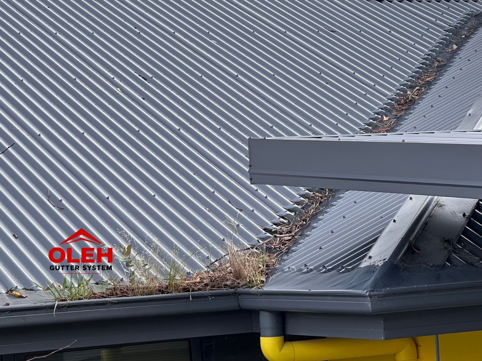 Organic roof and gutter debris build-up on a Hobart Tasmania property