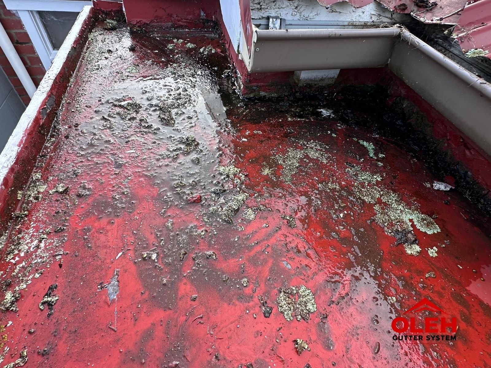 Standing water causing gutter corrosion in Hobart Tasmania