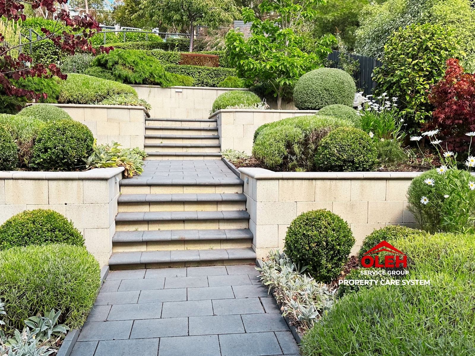 Maintained residential garden receiving scheduled ongoing property care
