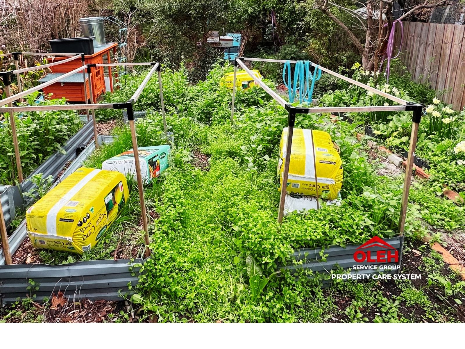 Weeding & Weed Control Hobart